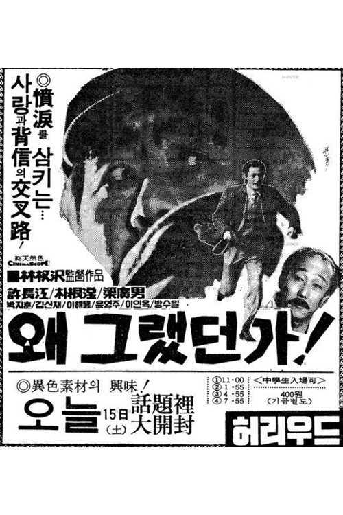 Movie poster for Why Did I Do That? (1975)