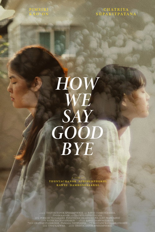 Movie poster for How We Say Goodbye (2023)
