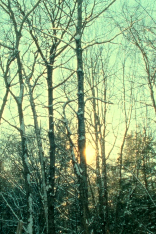 Movie poster for Winter Light
