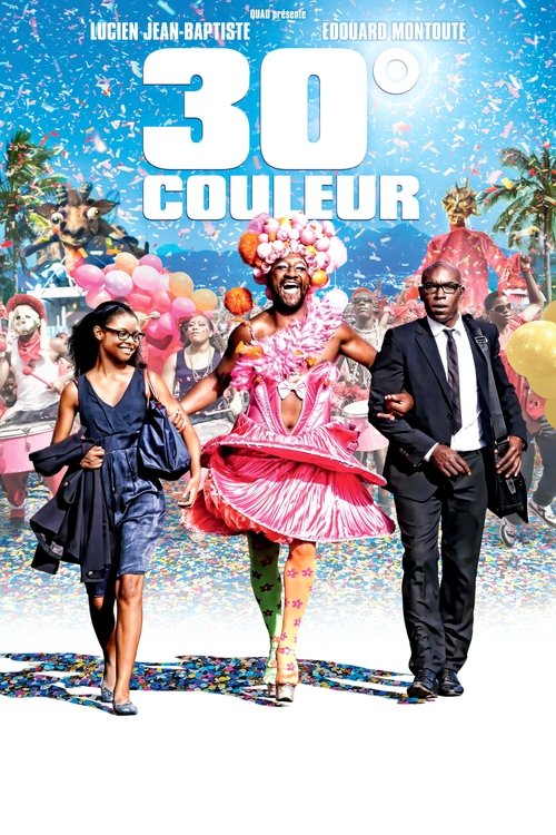 Movie poster for Bright Spin (2012)