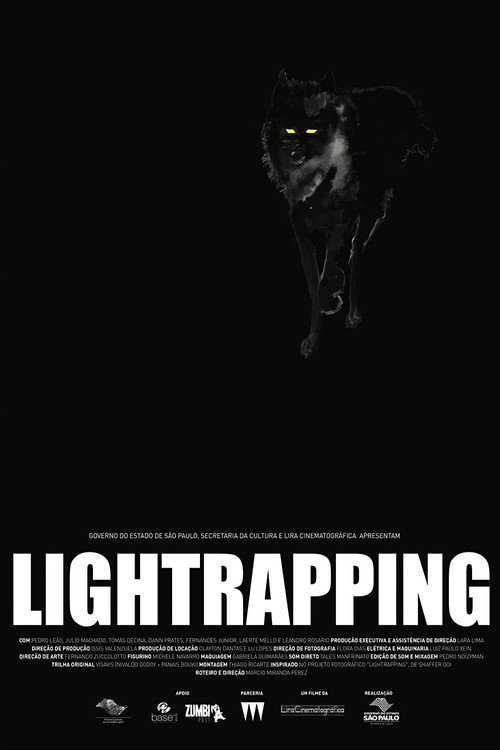 Movie poster for Lightrapping (2016)