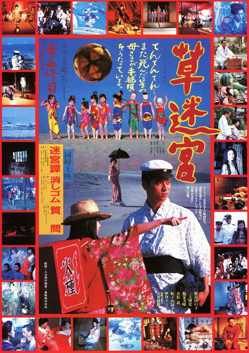 Movie poster for Grass Labyrinth (1979)