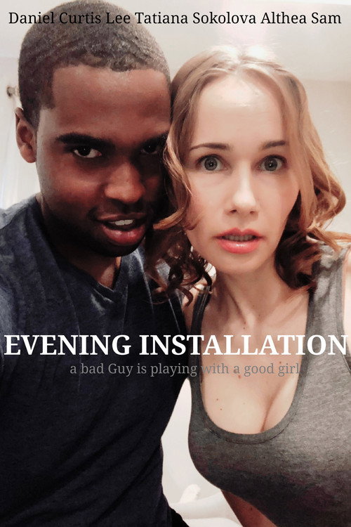 Movie poster for Evening Installation (2019)