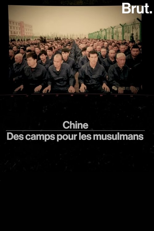 Movie poster for chine——des camps pour les musulmans (2019)