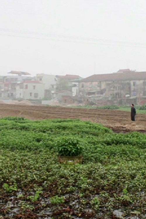 Landscape Series #1 poster