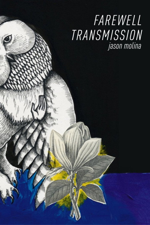 Movie poster for Jason Molina - Farewell Transmission