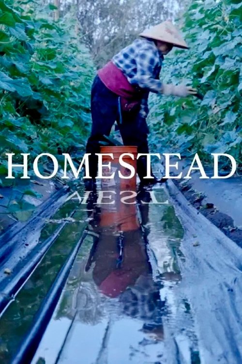 Movie poster for Homestead (2024)