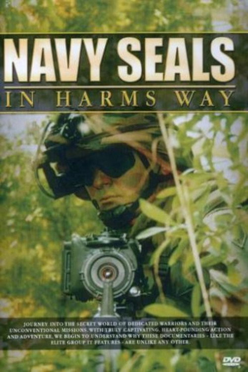 Movie poster for Navy SEALs: In Harm's Way (2006)