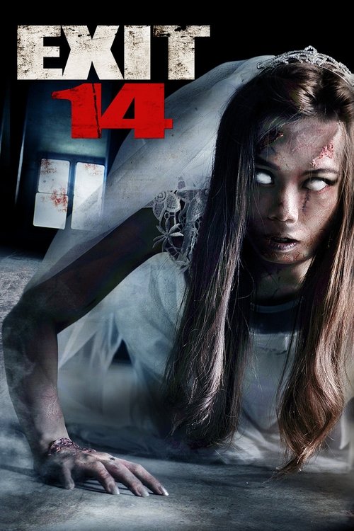 Movie poster for Exit 14 (2016)