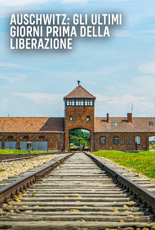Movie poster for Auschwitz: Countdown to Liberation (2025)