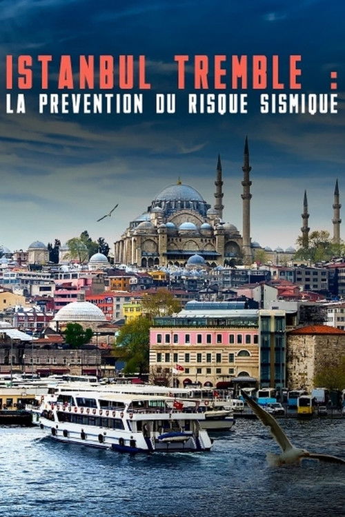 Movie poster for Istanbul tremble : La prévention du risque sismique (2020)