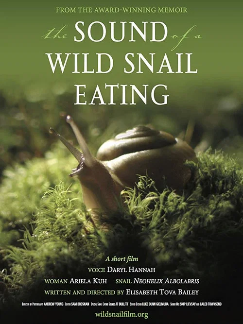 Movie poster for The Sound of a Wild Snail Eating (2019)