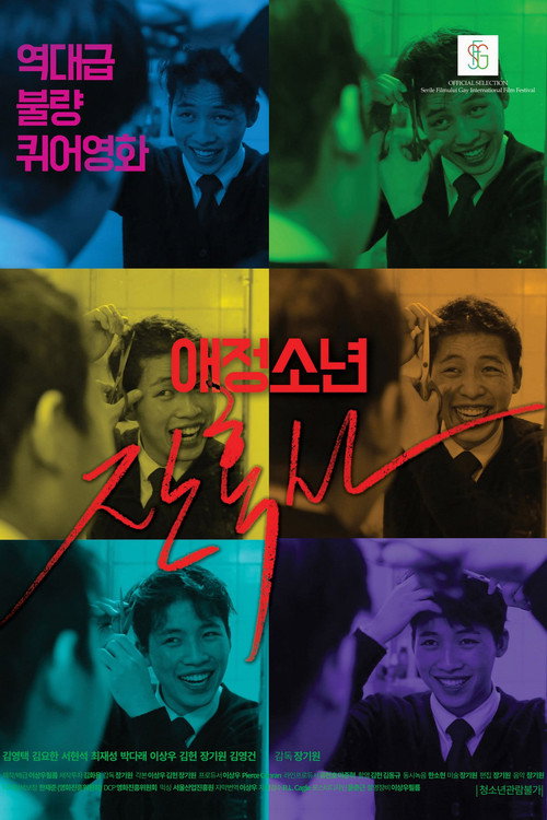 Movie poster for The Chronicles of a Boy: Homophobia (2017)
