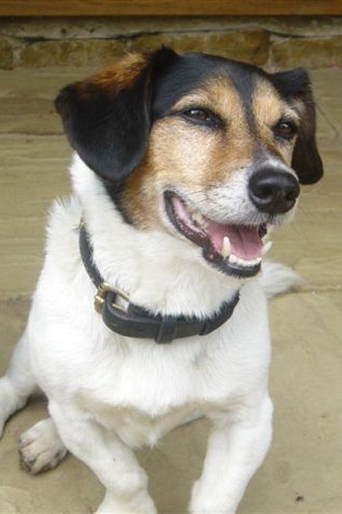 Photo of Strapper, Acting