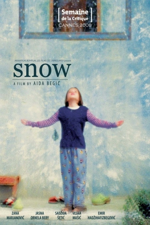 Movie poster for Snow (2008)