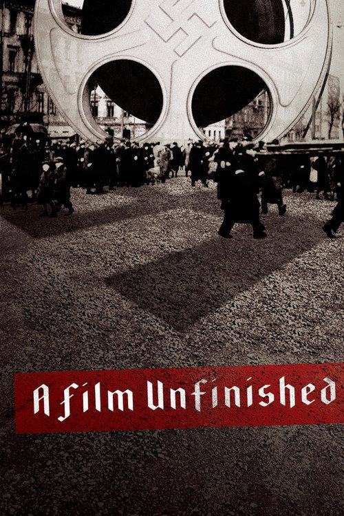 Movie poster for A Film Unfinished (2010)