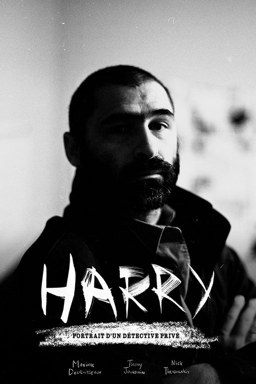 Movie poster for Harry: A Private Eye Documentary (2016)