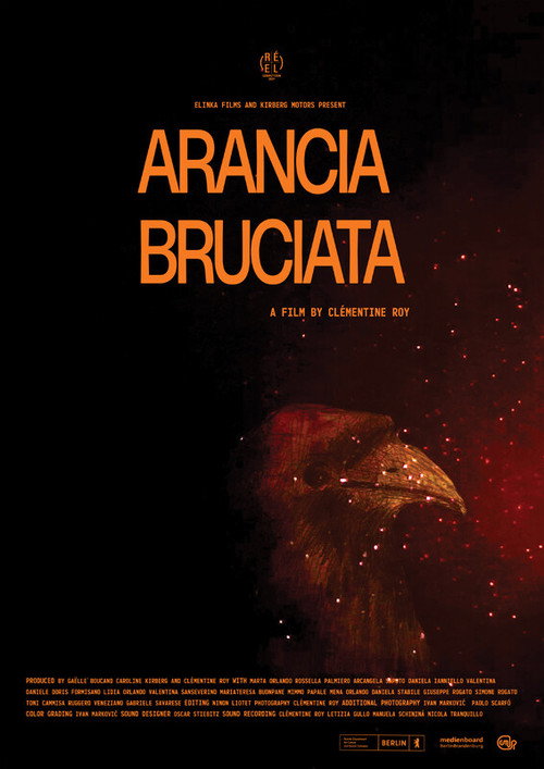 Movie poster for Arancia Bruciata (2024)