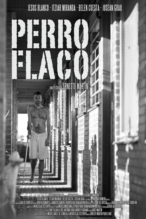 Movie poster for Perro flaco (2011)