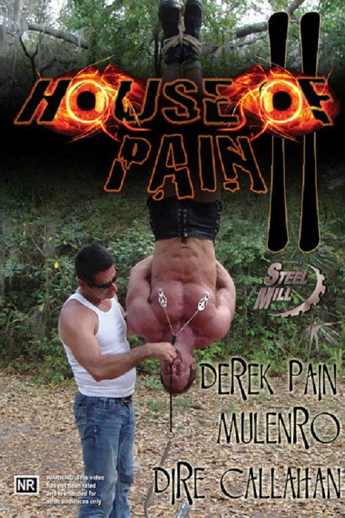 Movie poster for House of Pain 2 (2013)