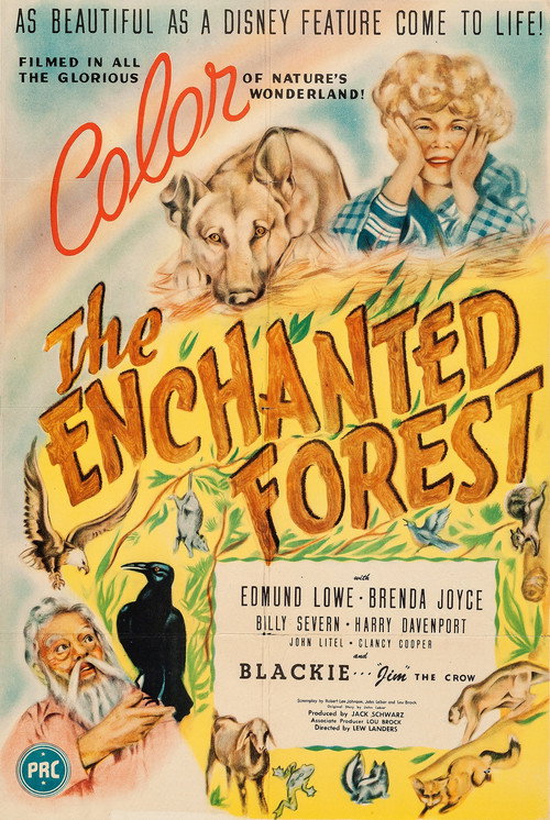 Movie poster for The Enchanted Forest (1945)