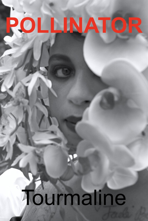 Movie poster for Pollinator (2023)