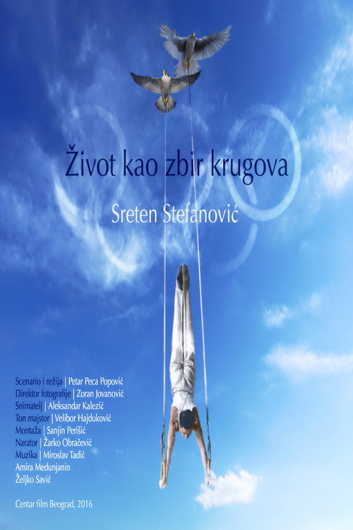 Movie poster for Life as a Collection of Circles (2016)