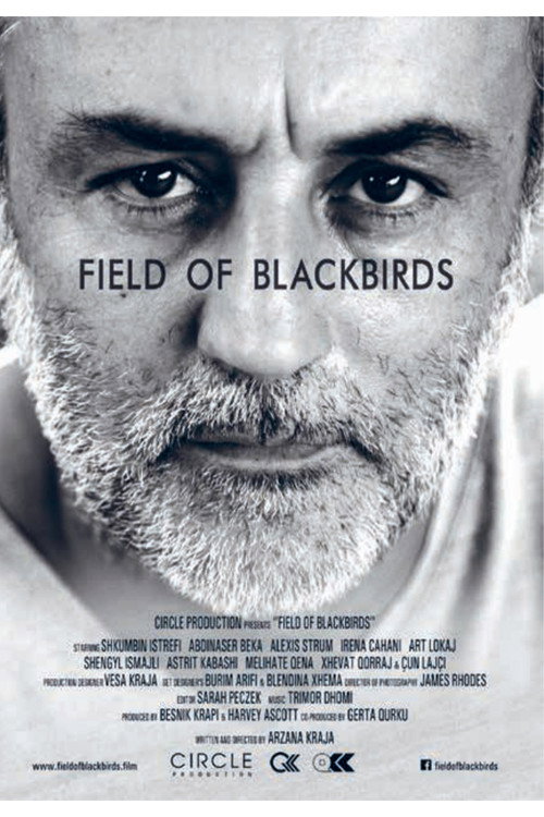 Movie poster for Field of Blackbirds (2019)