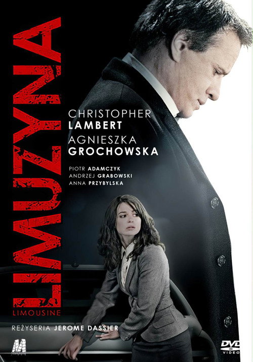 Movie poster for Limousine (2008)