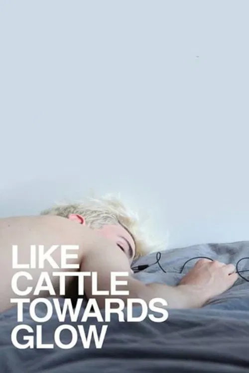 Movie poster for Like Cattle Towards Glow (2015)