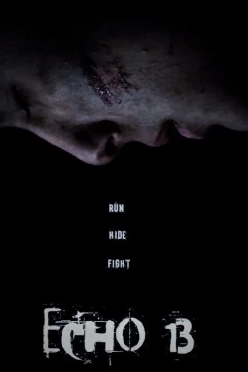 Movie poster for Echo 13 (2017)