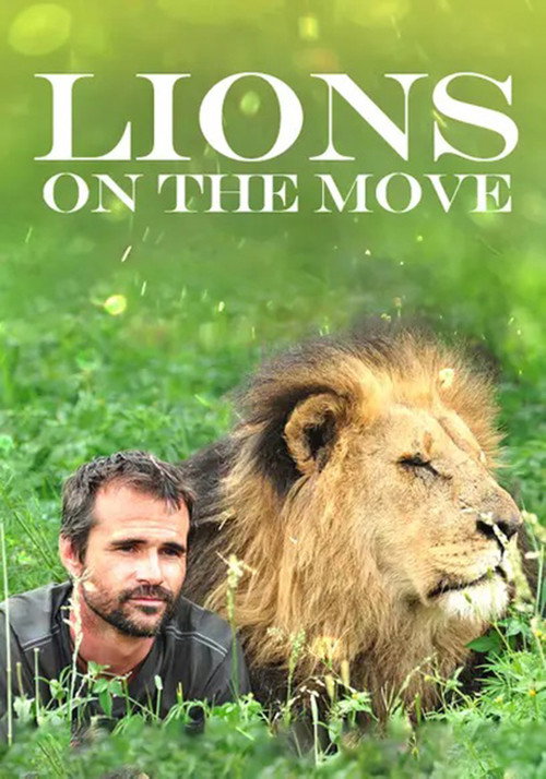 Movie poster for Lions on the Move (2013)