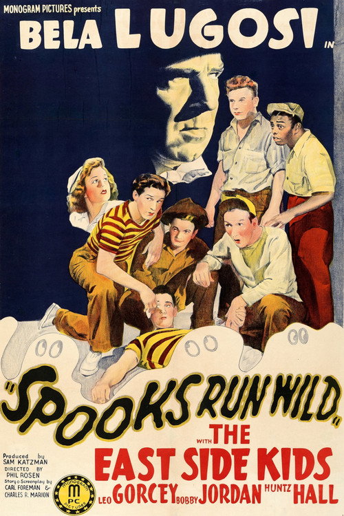 Movie poster for Spooks Run Wild (1941)
