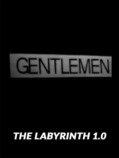 Movie poster for The Labyrinth 1.0 (2017)