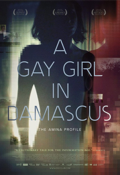 Movie poster for A Gay Girl in Damascus: The Amina Profile (2015)