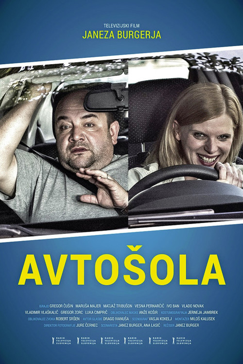 Movie poster for Driving School (2014)