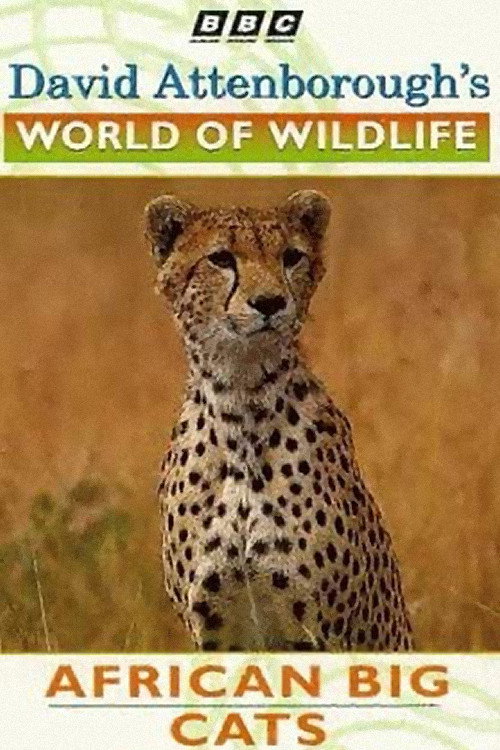 Movie poster for World of Wildlife: African Big Cats (1995)