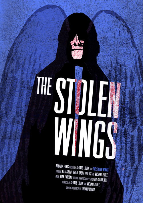 Movie poster for The Stolen Wings (2009)