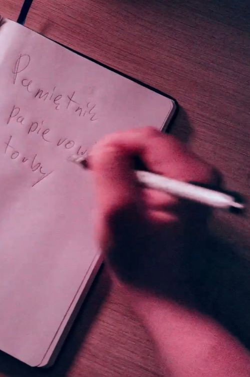 Movie poster for Pamiętnik papierowej torby (2025)