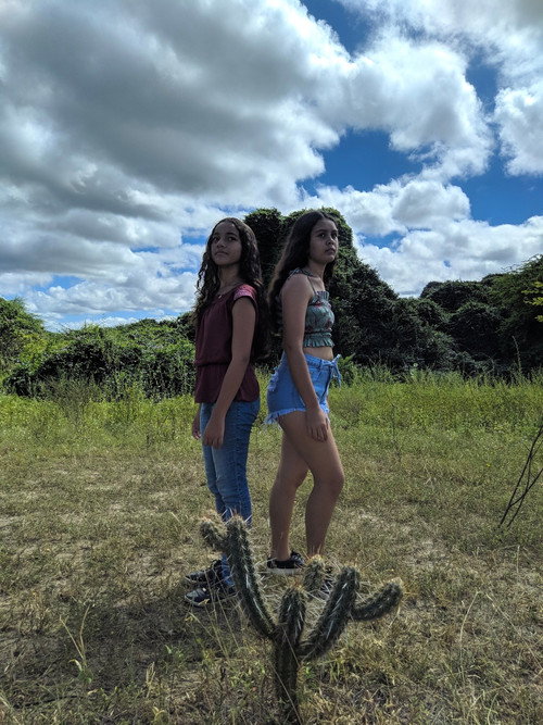 Movie poster for Oiticica do Bode (2023)