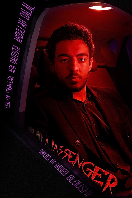 Movie poster for Interview with a Passenger (2025)