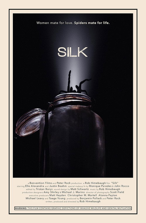 Movie poster for Silk (2014)