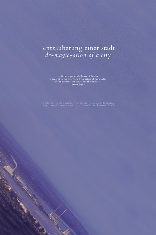 Movie poster for de-magic-ation of a city (2024)