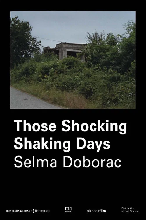 Movie poster for Those Shocking Shaking Days (2016)