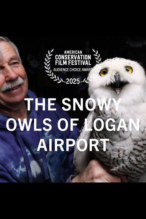 Movie poster for The Snowy Owls of Logan Airport (2024)