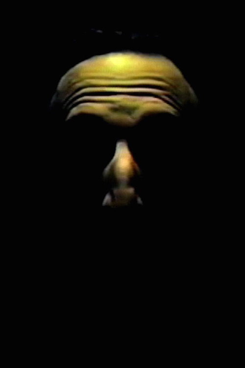 Movie poster for Digital Speech (1984)