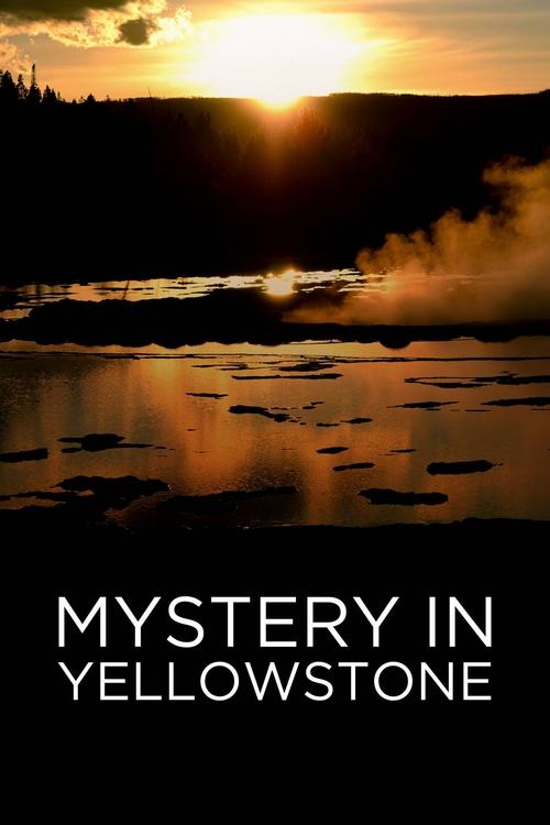 Movie poster for Mystery in Yellowstone (2015)