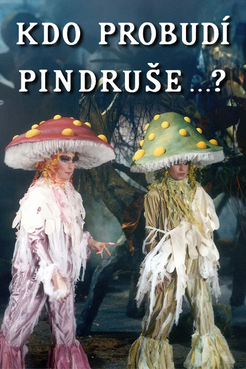 Movie poster for Kdo probudí Pindruše...? (1989)