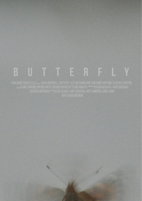 Movie poster for Butterfly (2018)