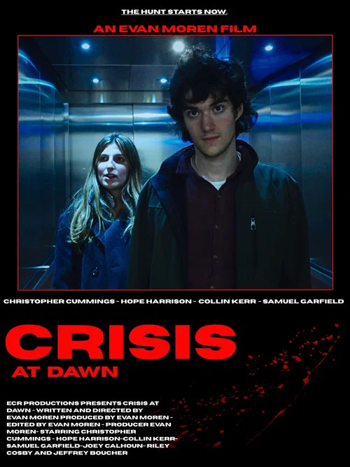Movie poster for Crisis At Dawn (2025)